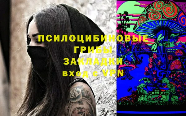ешки Новозыбков