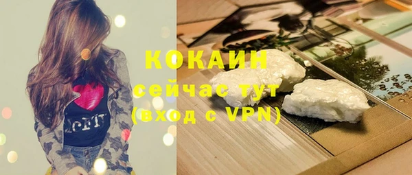 ешки Новозыбков