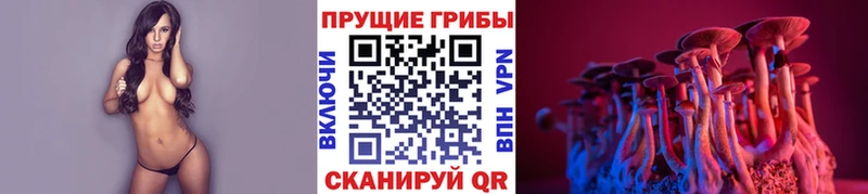 площадка официальный сайт  Исилькуль  Псилоцибиновые грибы Psilocybine cubensis 
