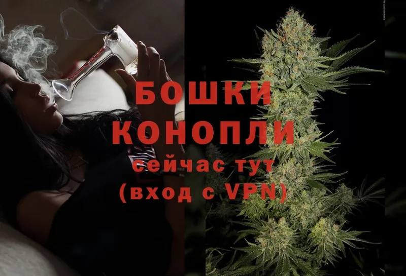 Бошки марихуана OG Kush  где можно купить   Исилькуль 